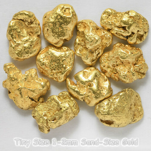 10 Pcs Alaska Natural Gold - Tiny Size 1-2mm Sand-size - Tvs Gold Rush (#1-1)
