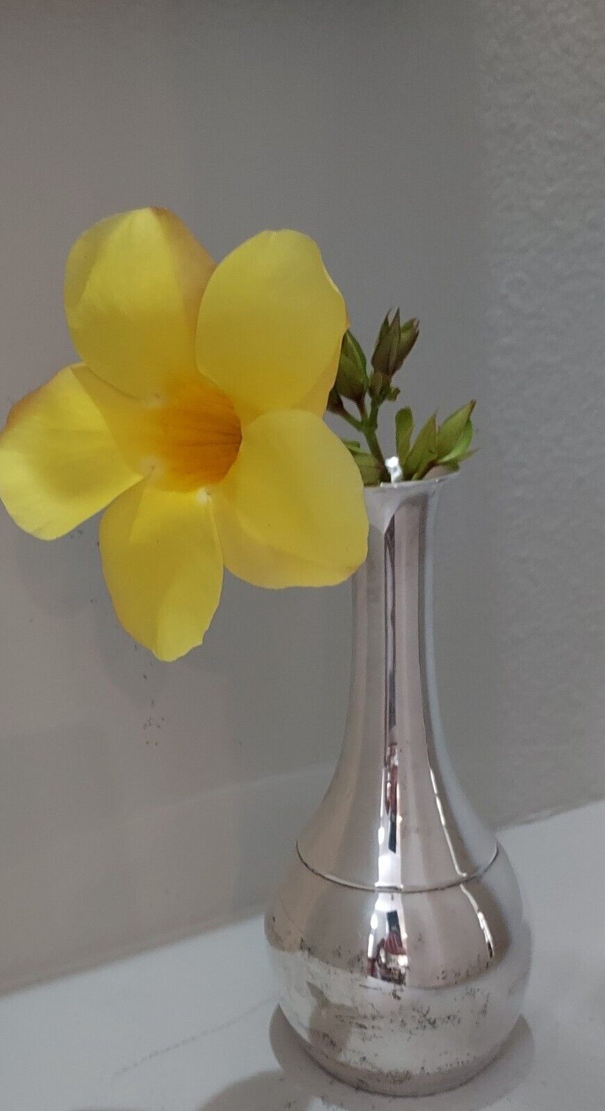 Simply Elegant M. Fred Hirsch Co. #892 Sterling Silver Bud Vase 7.20ozt